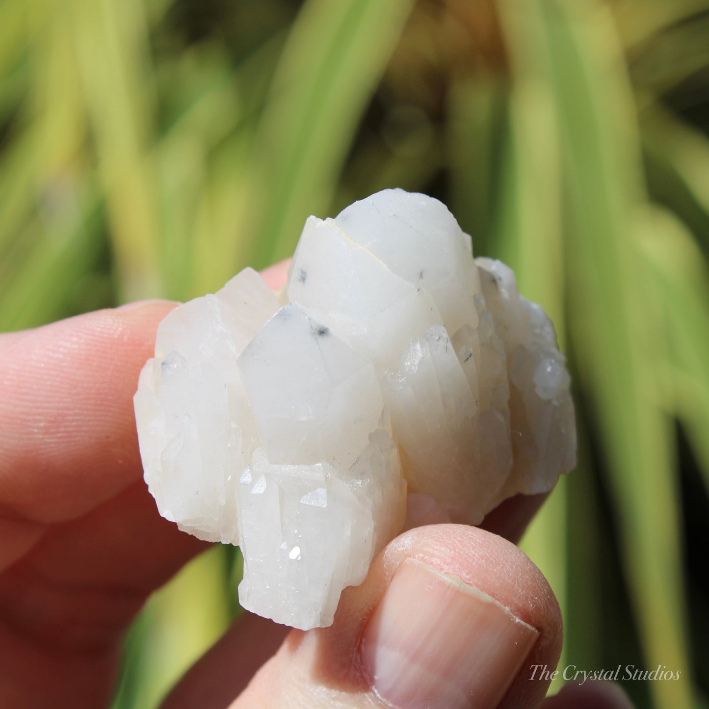 Holldanite Quartz Natural Cluster Crystal