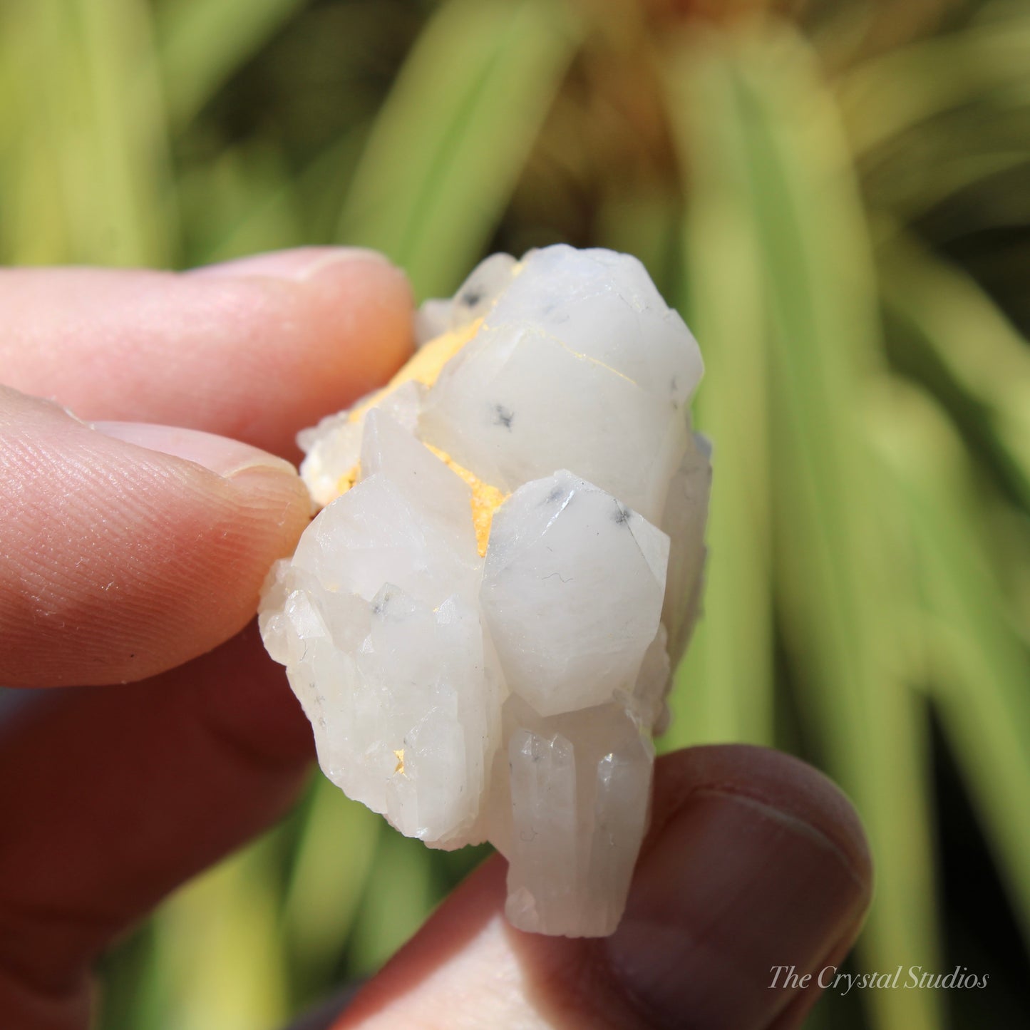 Holldanite Quartz Natural Cluster Crystal