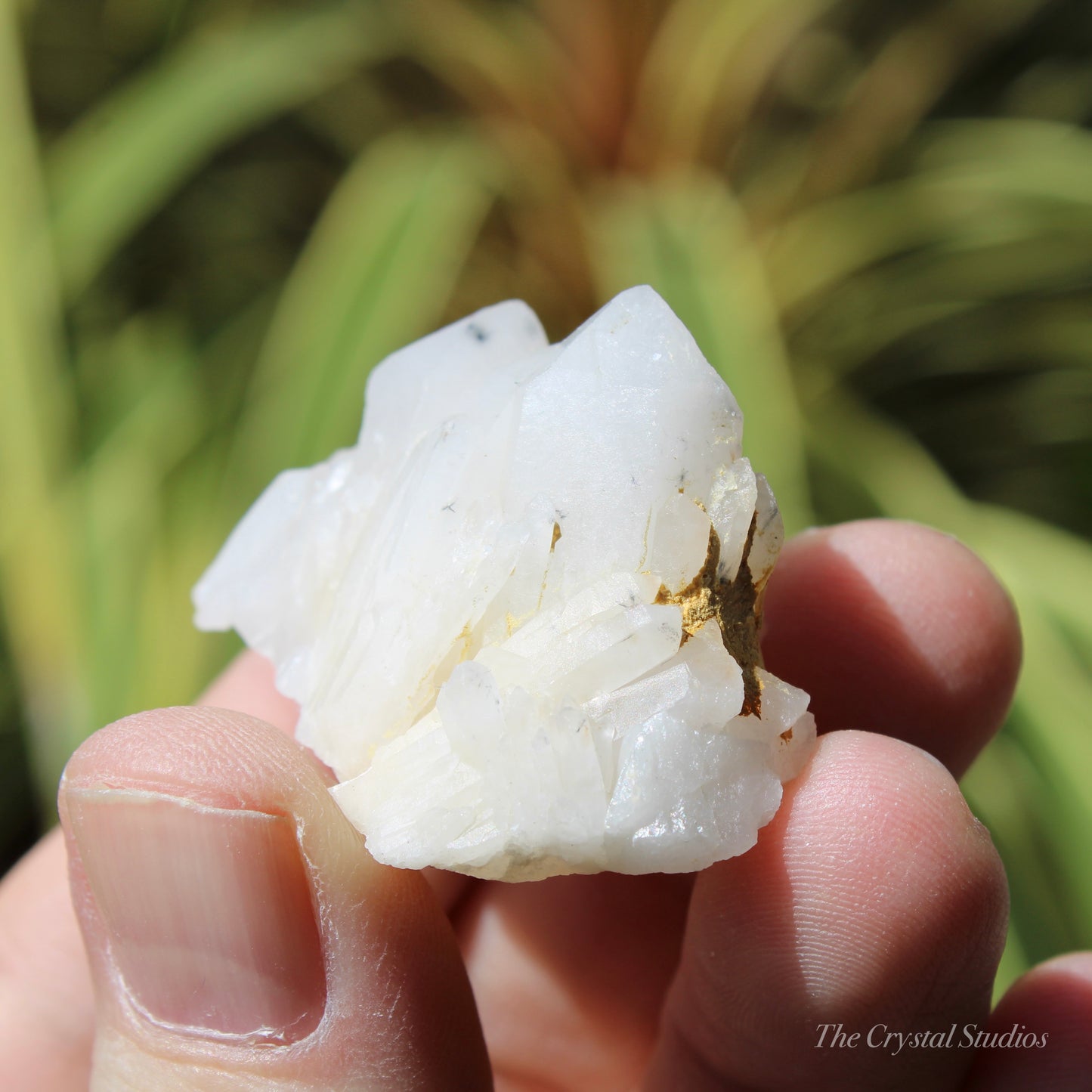 Holldanite Quartz Natural Cluster Crystal