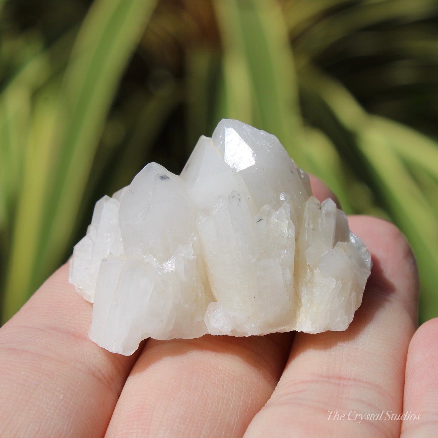 Holldanite Quartz Natural Cluster Crystal