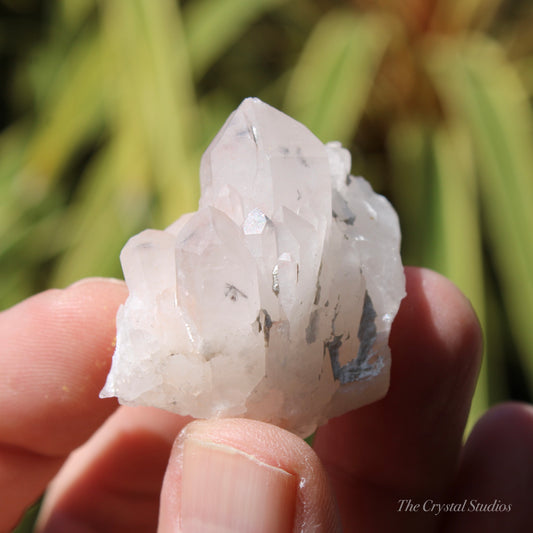 Holldanite Quartz Natural Cluster Crystal