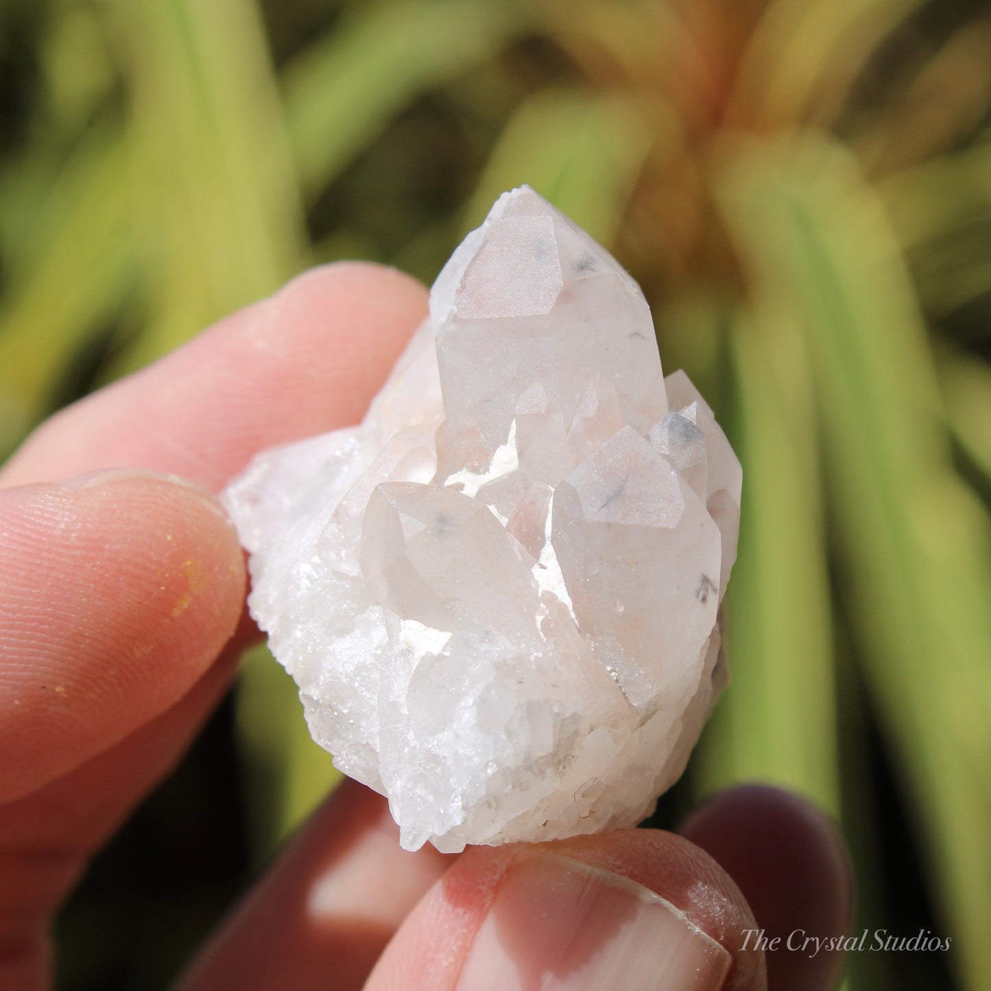 Holldanite Quartz Natural Cluster Crystal