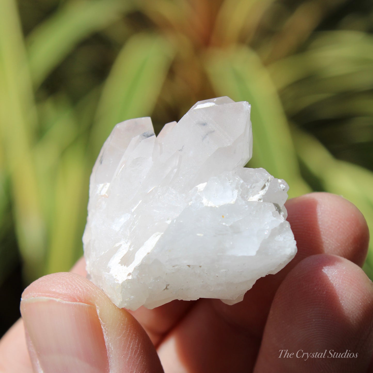 Holldanite Quartz Natural Cluster Crystal