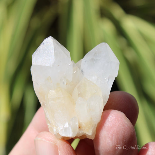 Holldanite Quartz Natural Cluster Crystal