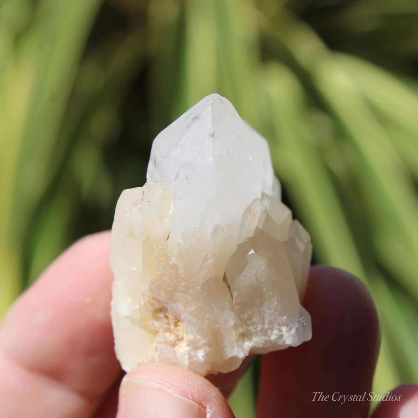 Holldanite Quartz Natural Cluster Crystal