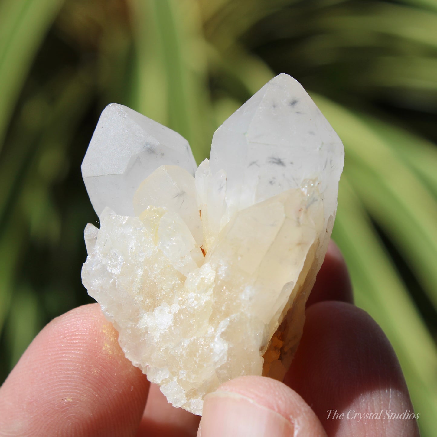 Holldanite Quartz Natural Cluster Crystal