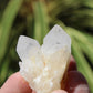 Holldanite Quartz Natural Cluster Crystal