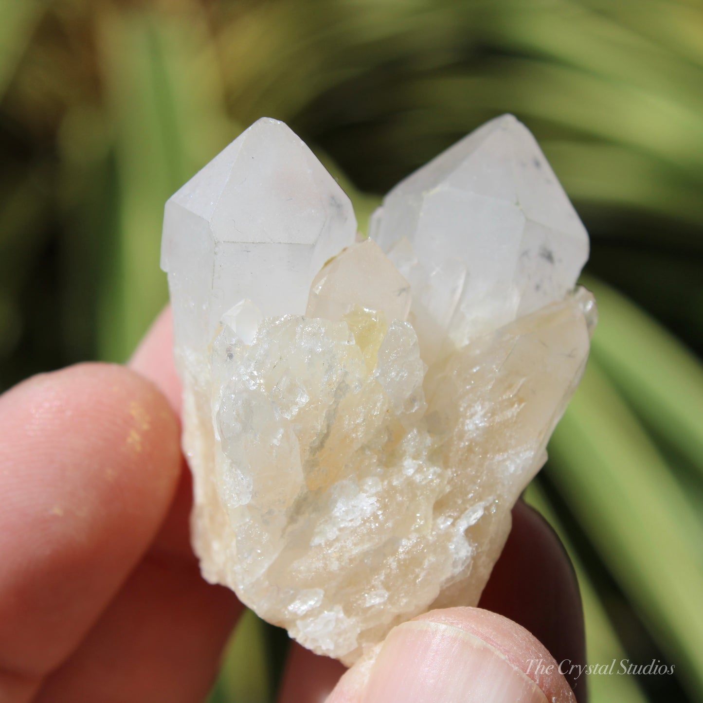 Holldanite Quartz Natural Cluster Crystal