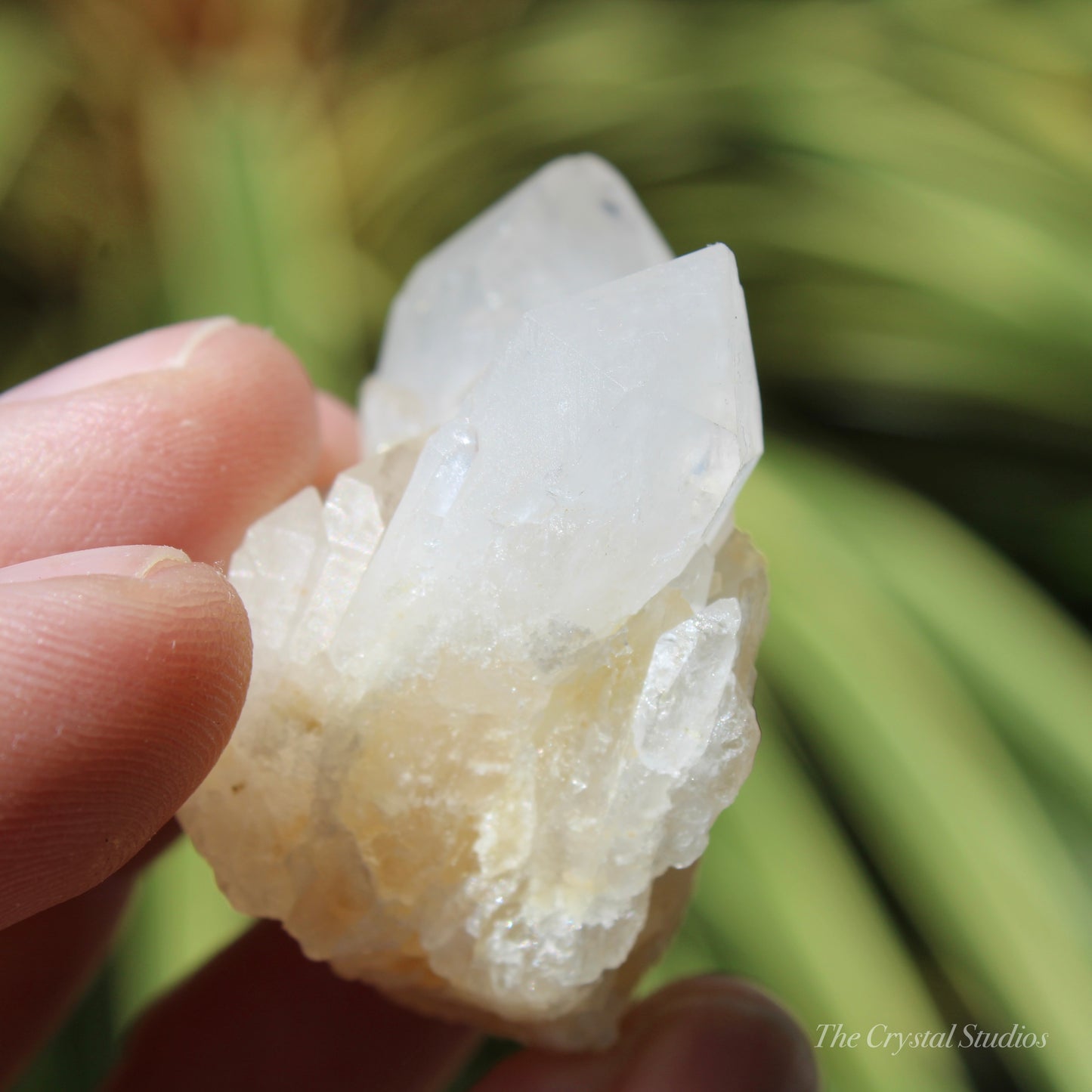 Holldanite Quartz Natural Cluster Crystal