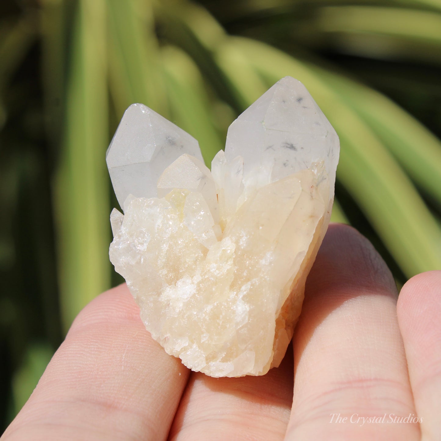 Holldanite Quartz Natural Cluster Crystal