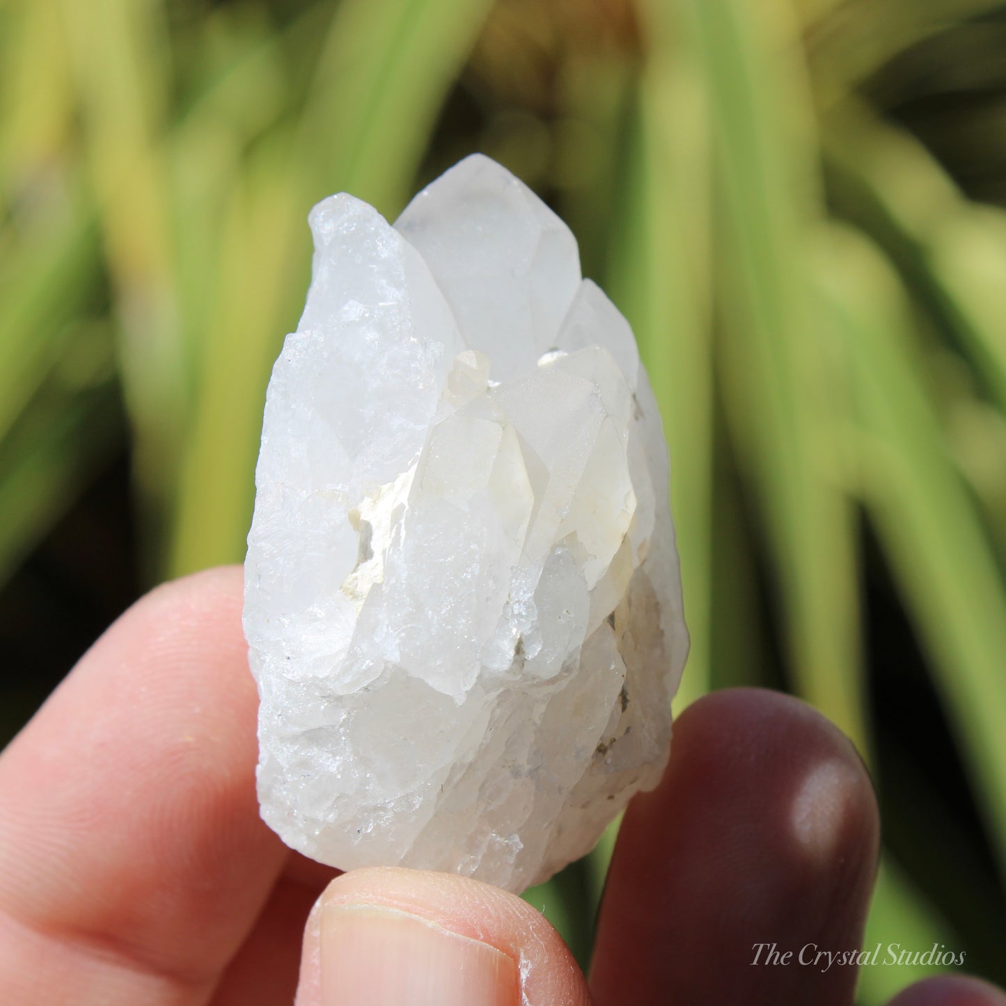 Holldanite Quartz Natural Cluster Crystal