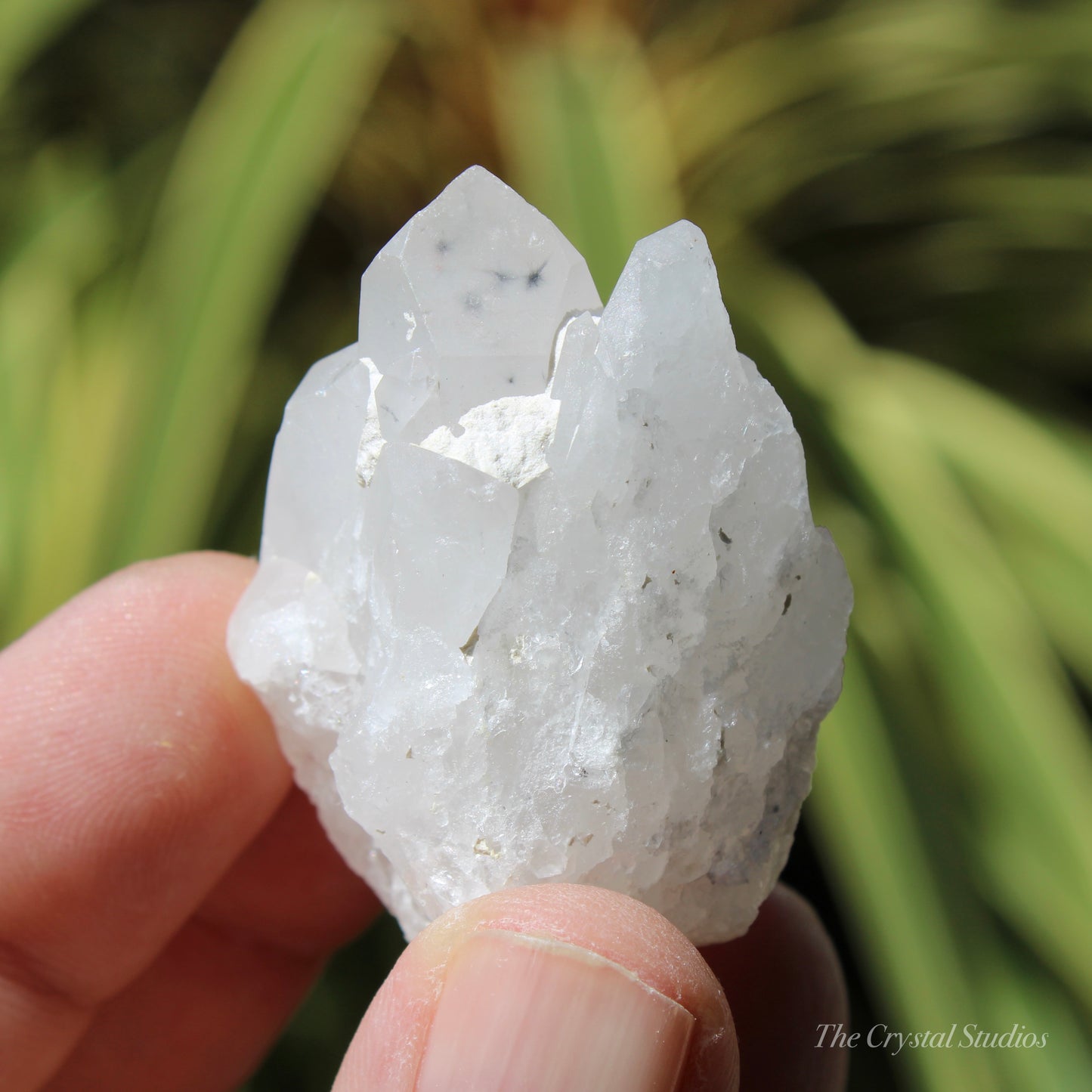 Holldanite Quartz Natural Cluster Crystal