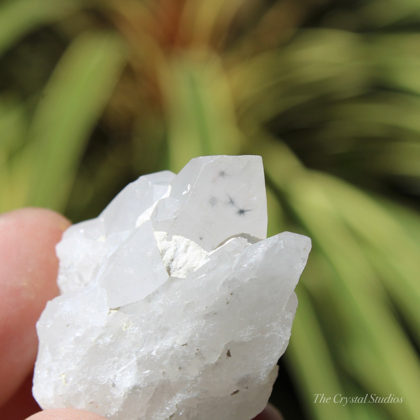 Holldanite Quartz Natural Cluster Crystal