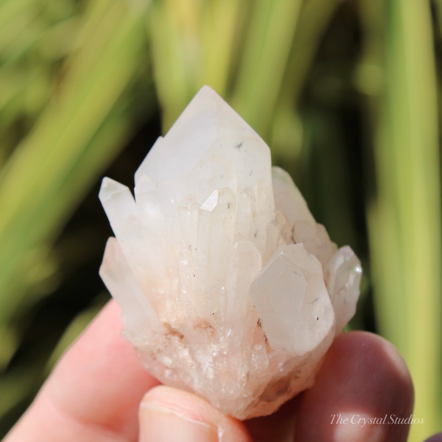 Holldanite Quartz Natural Cluster Crystal