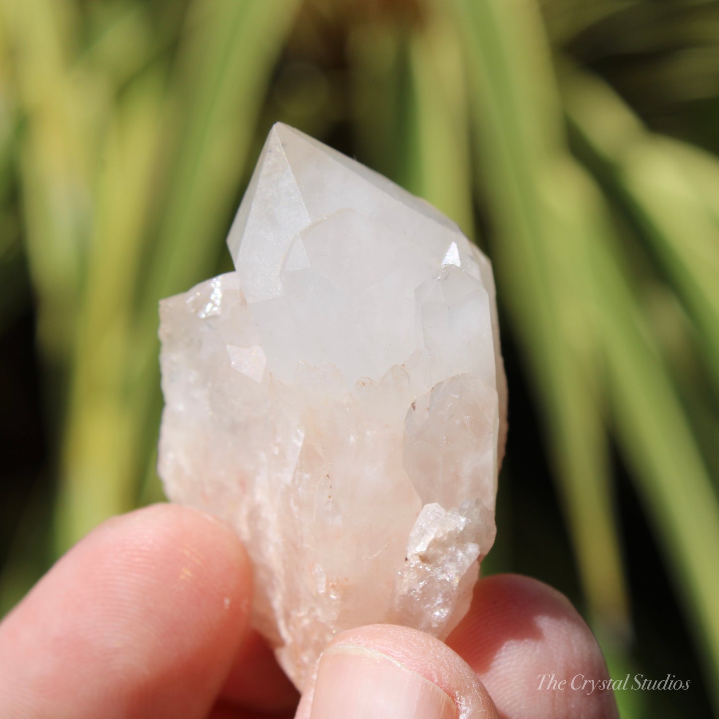 Holldanite Quartz Natural Cluster Crystal