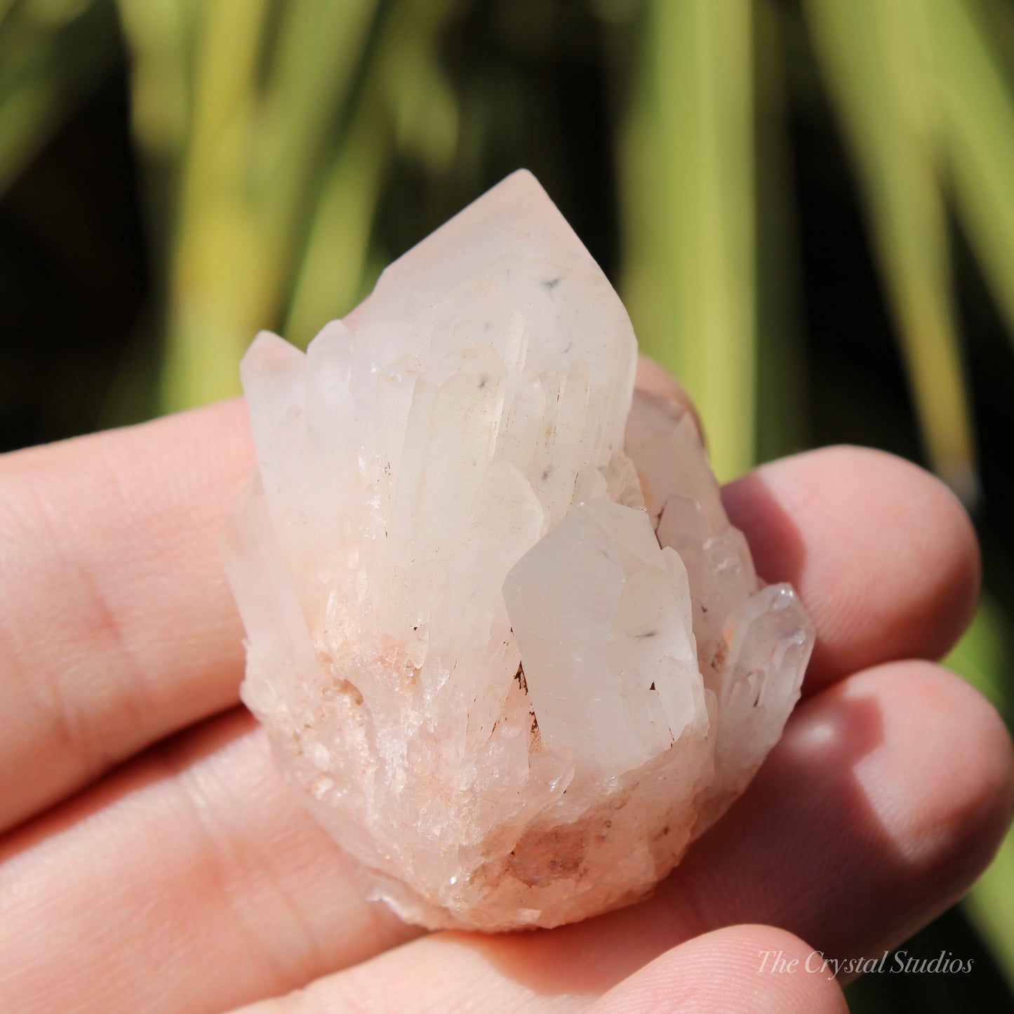 Holldanite Quartz Natural Cluster Crystal