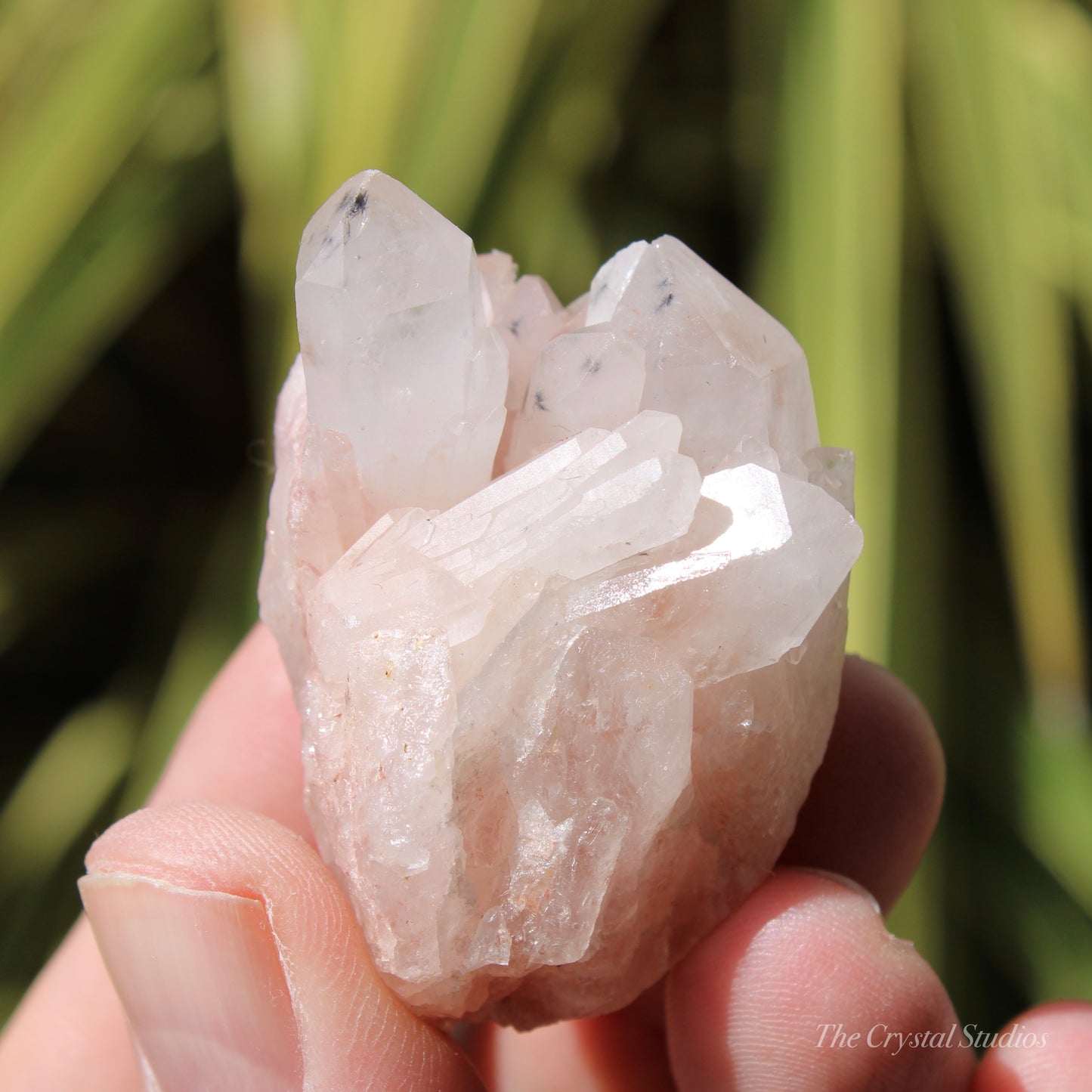 Holldanite Quartz Natural Cluster Crystal