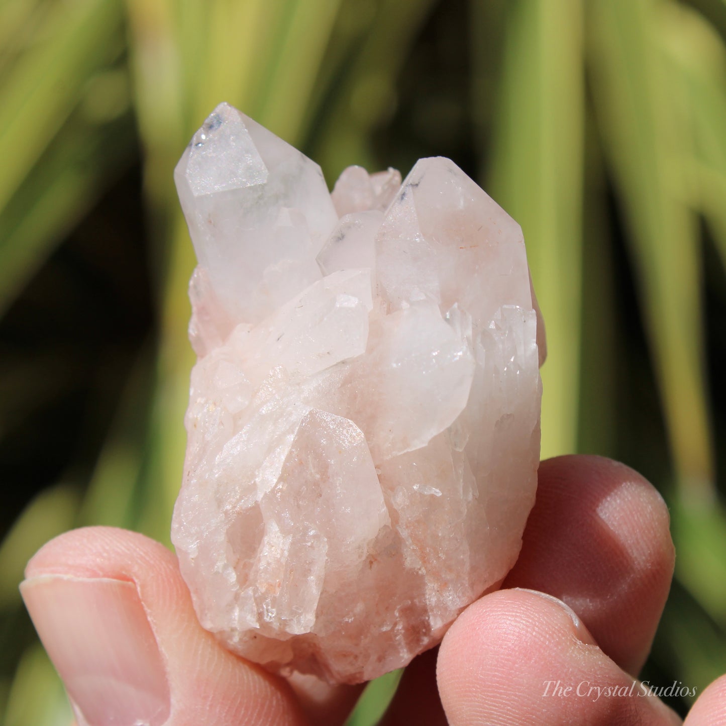 Holldanite Quartz Natural Cluster Crystal