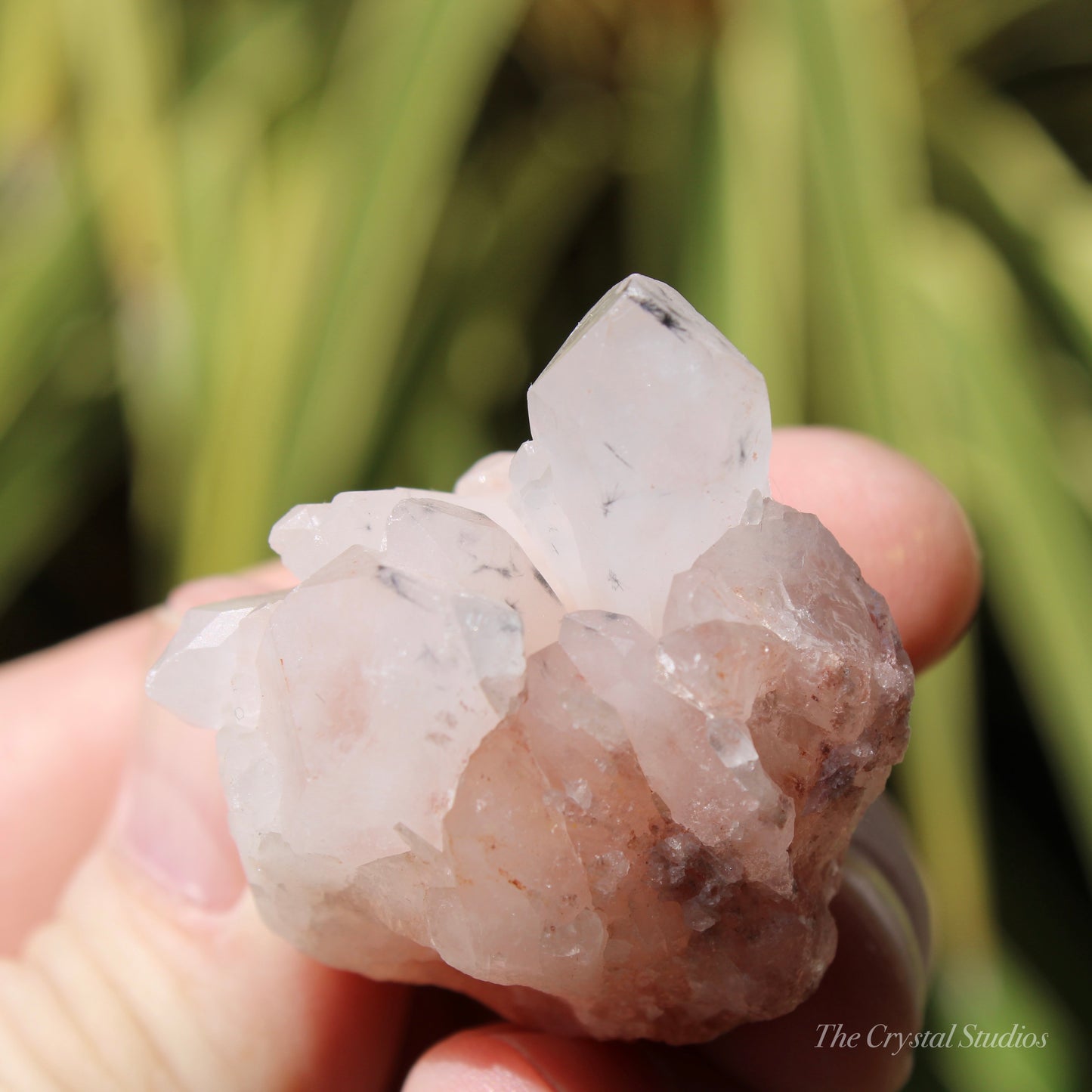 Holldanite Quartz Natural Cluster Crystal