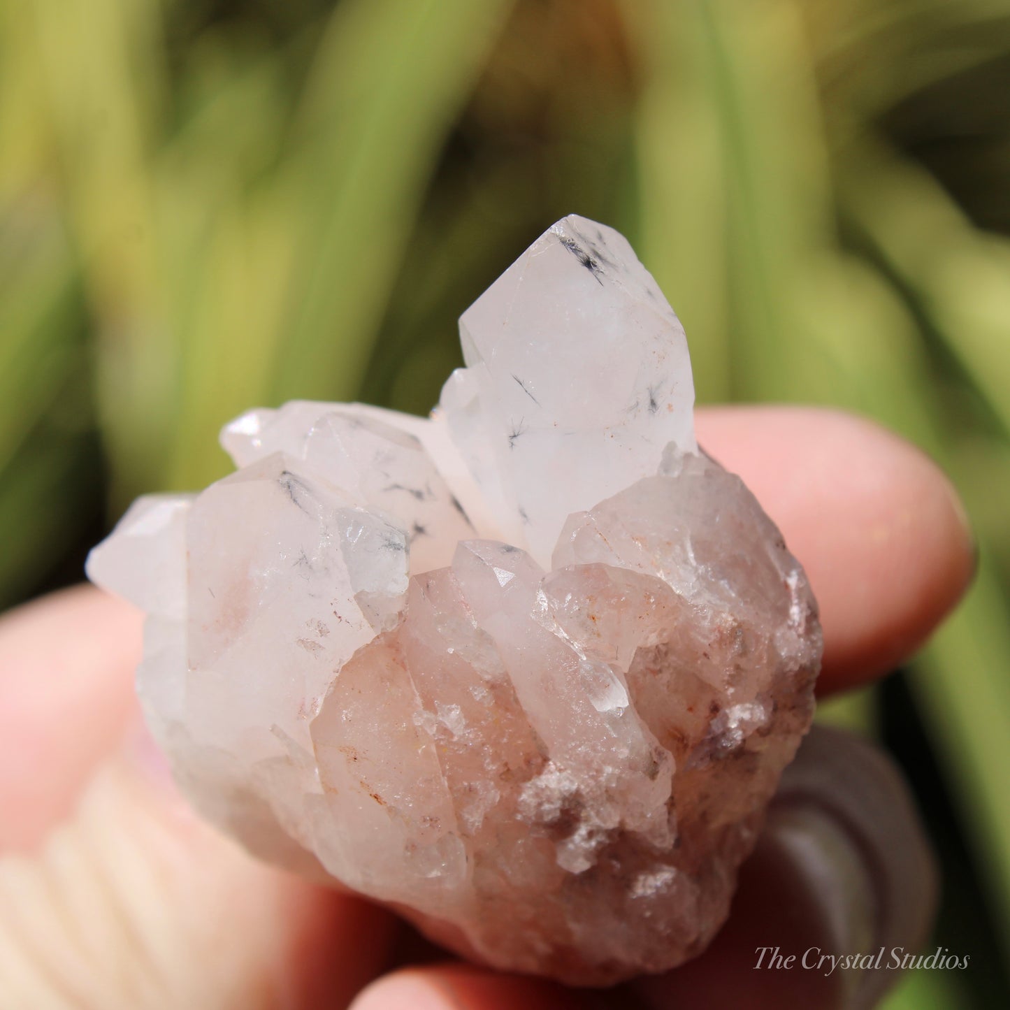 Holldanite Quartz Natural Cluster Crystal