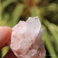 Holldanite Quartz Natural Cluster Crystal