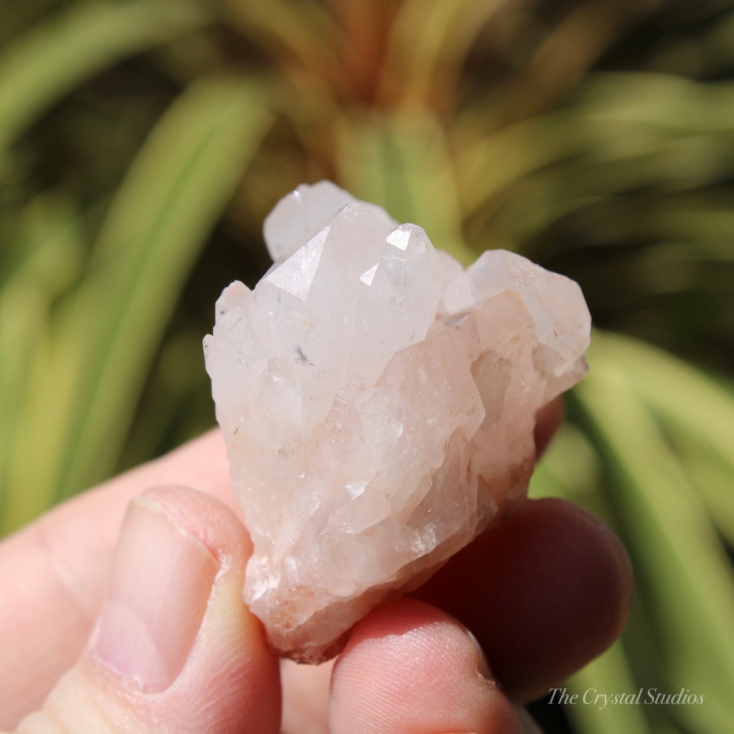 Holldanite Quartz Natural Cluster Crystal