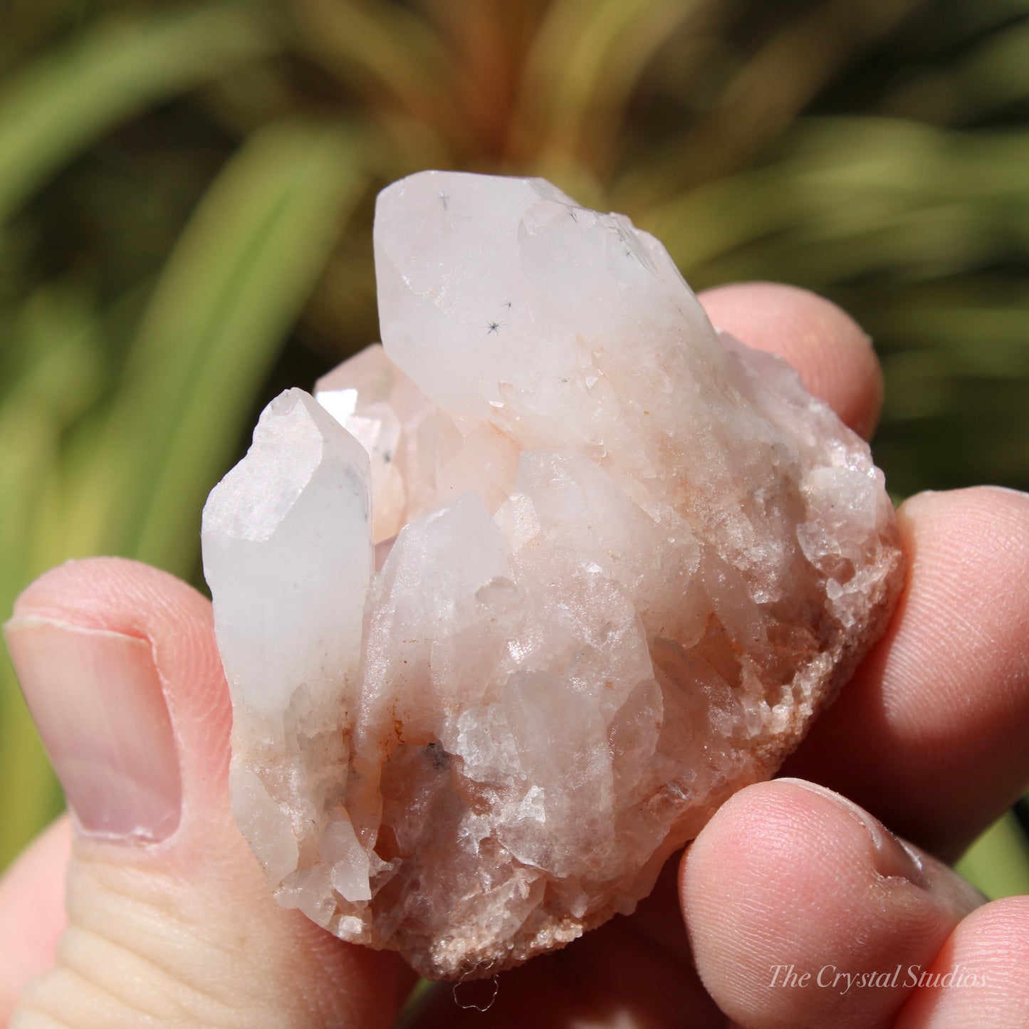 Holldanite Quartz Natural Cluster Crystal