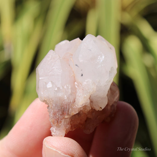 Holldanite Quartz Natural Cluster Crystal