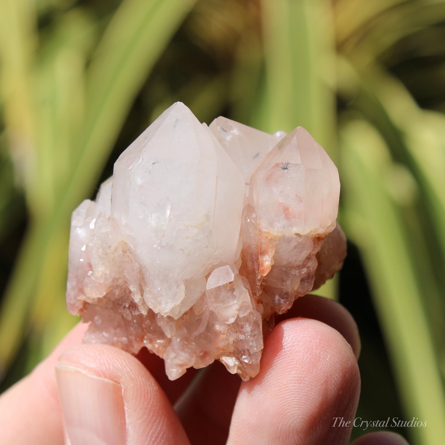 Holldanite Quartz Natural Cluster Crystal