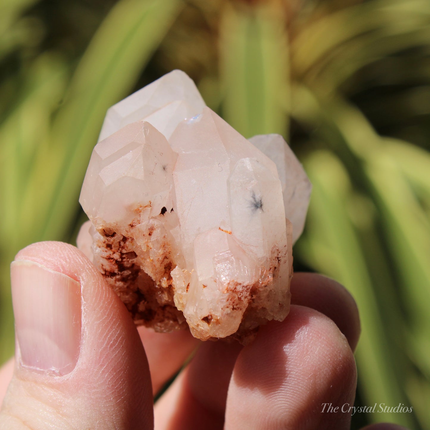 Holldanite Quartz Natural Cluster Crystal