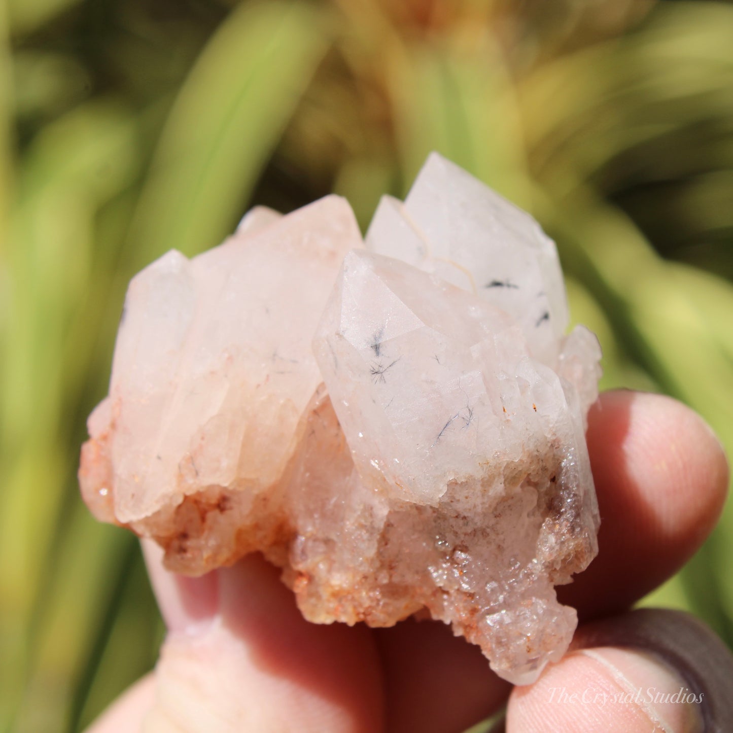 Holldanite Quartz Natural Cluster Crystal