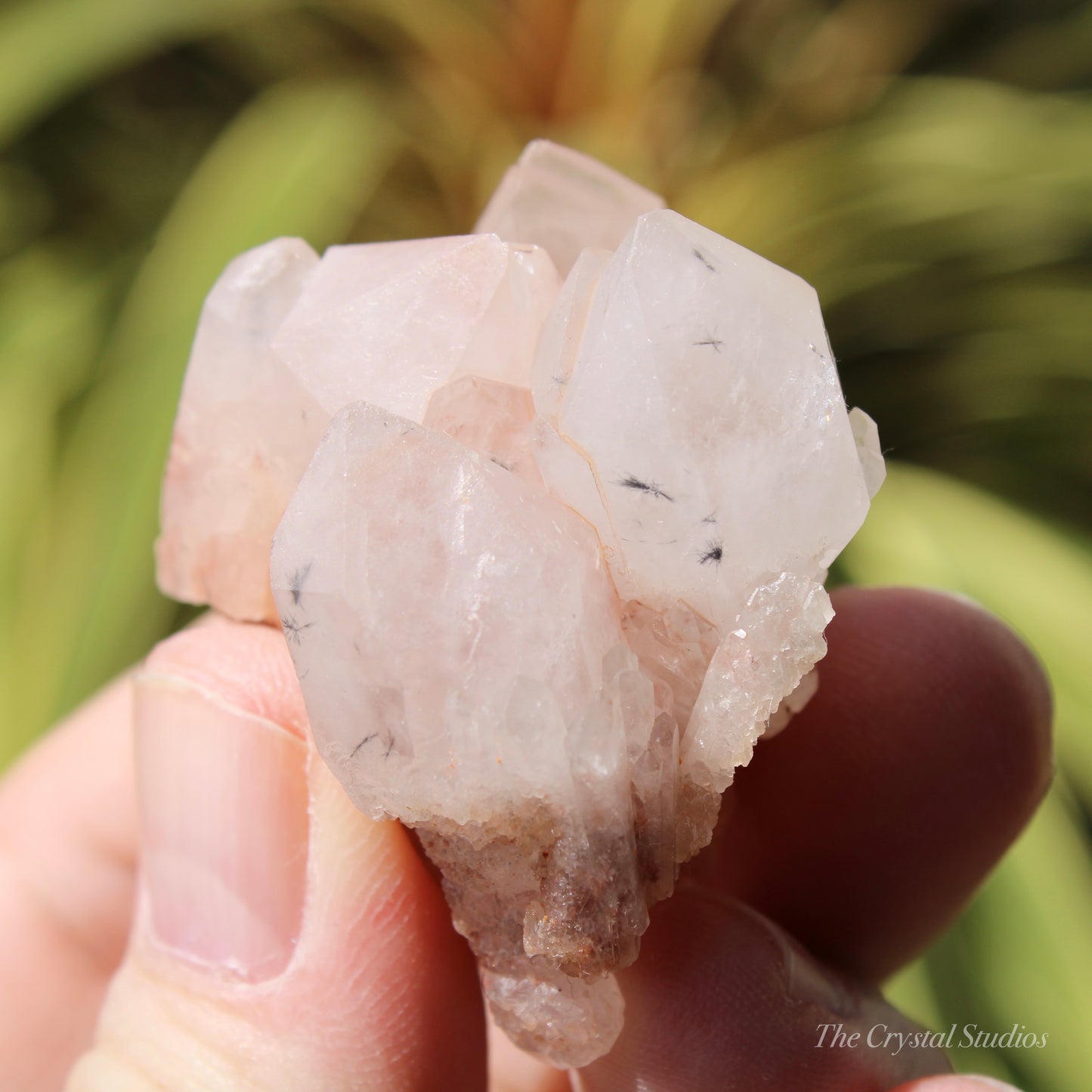 Holldanite Quartz Natural Cluster Crystal