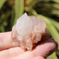 Holldanite Quartz Natural Cluster Crystal