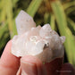 Holldanite Quartz Natural Cluster Crystal