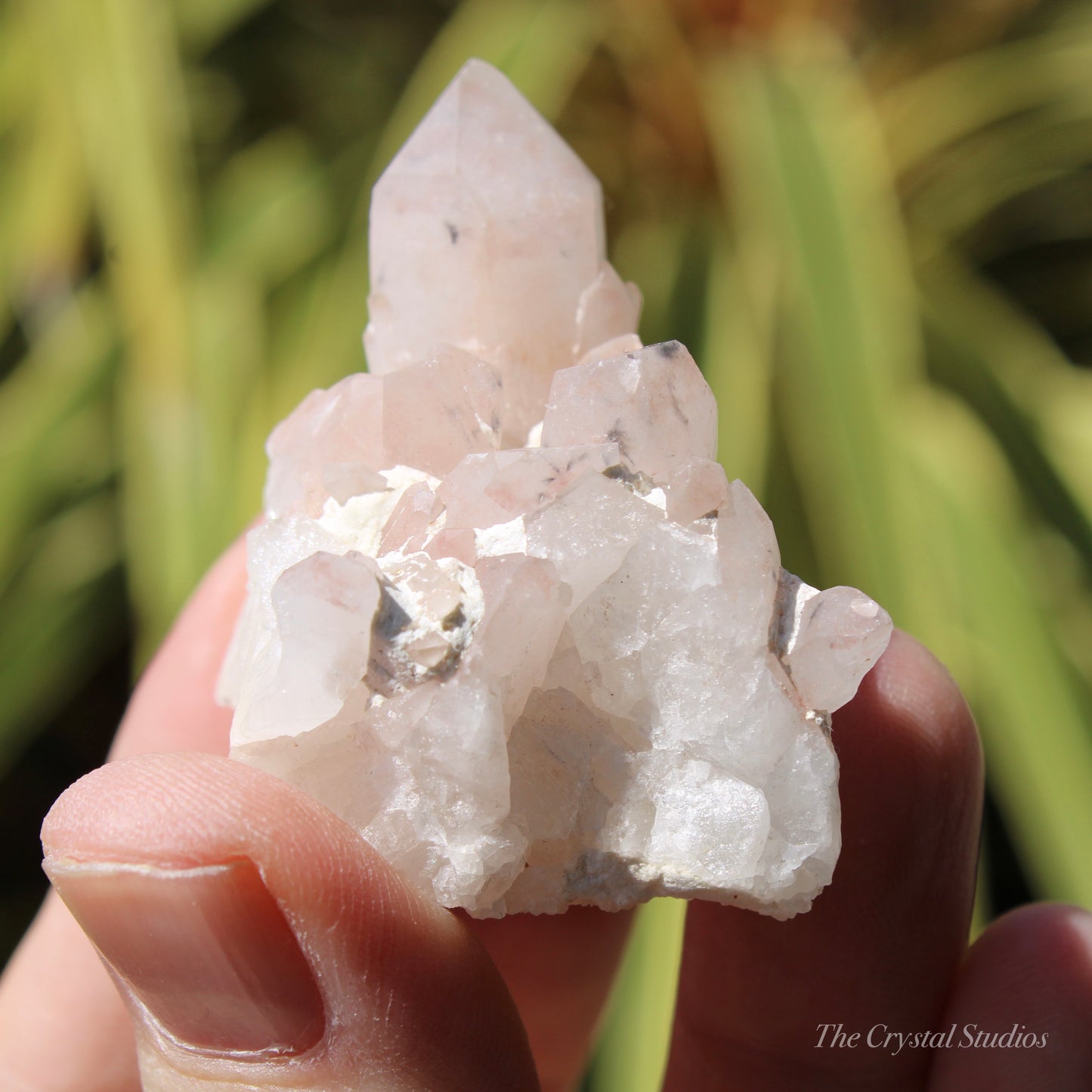 Holldanite Quartz Natural Cluster Crystal