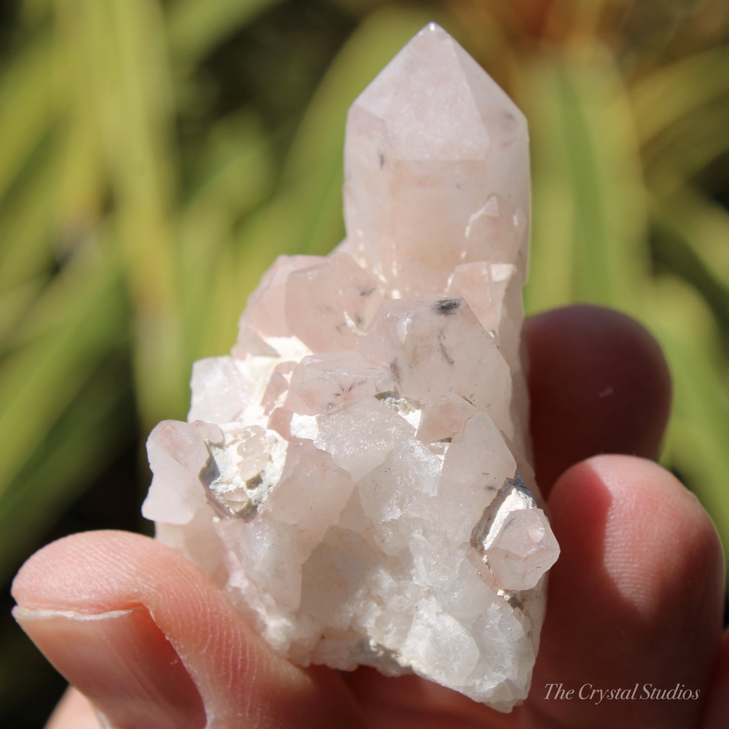 Holldanite Quartz Natural Cluster Crystal