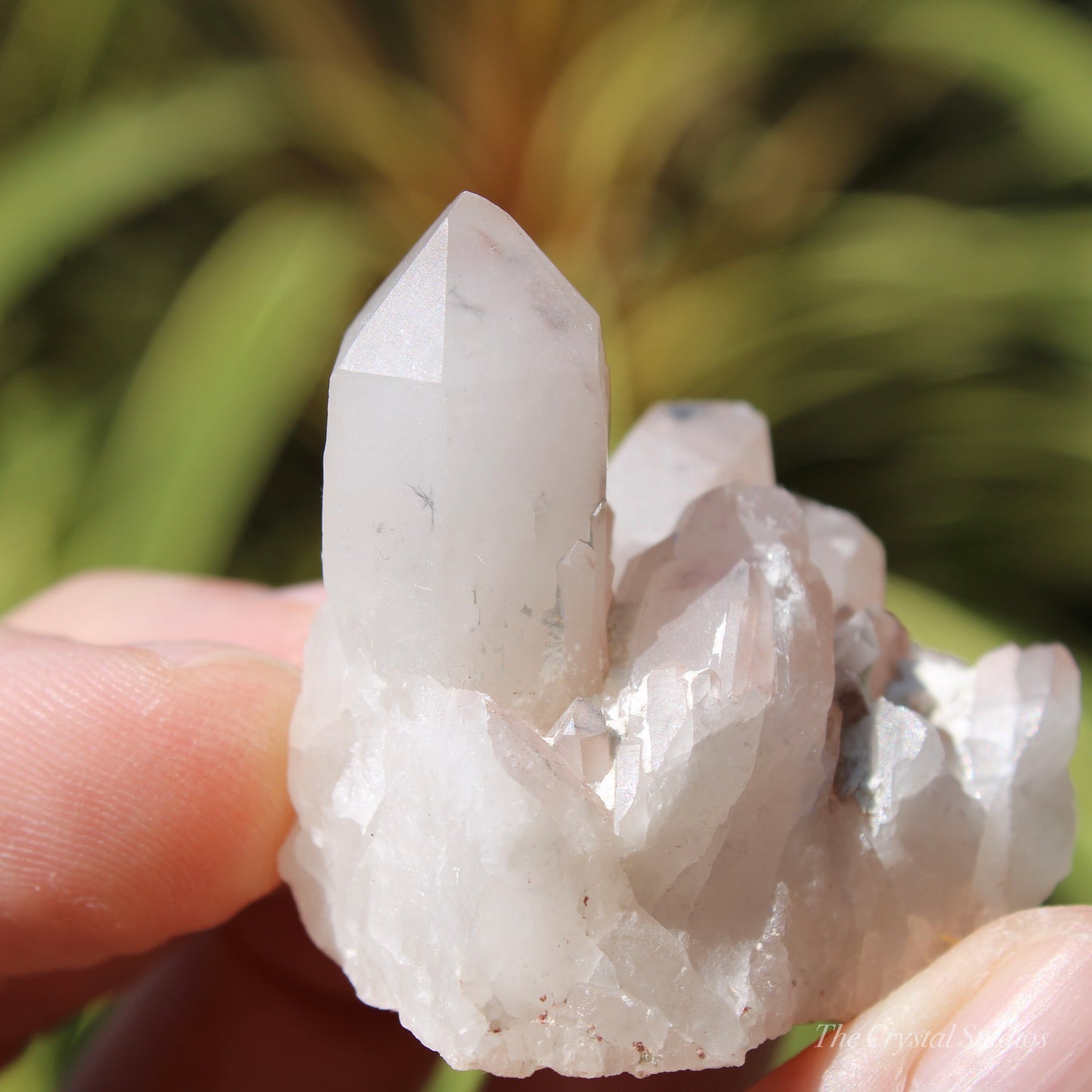 Holldanite Quartz Natural Cluster Crystal