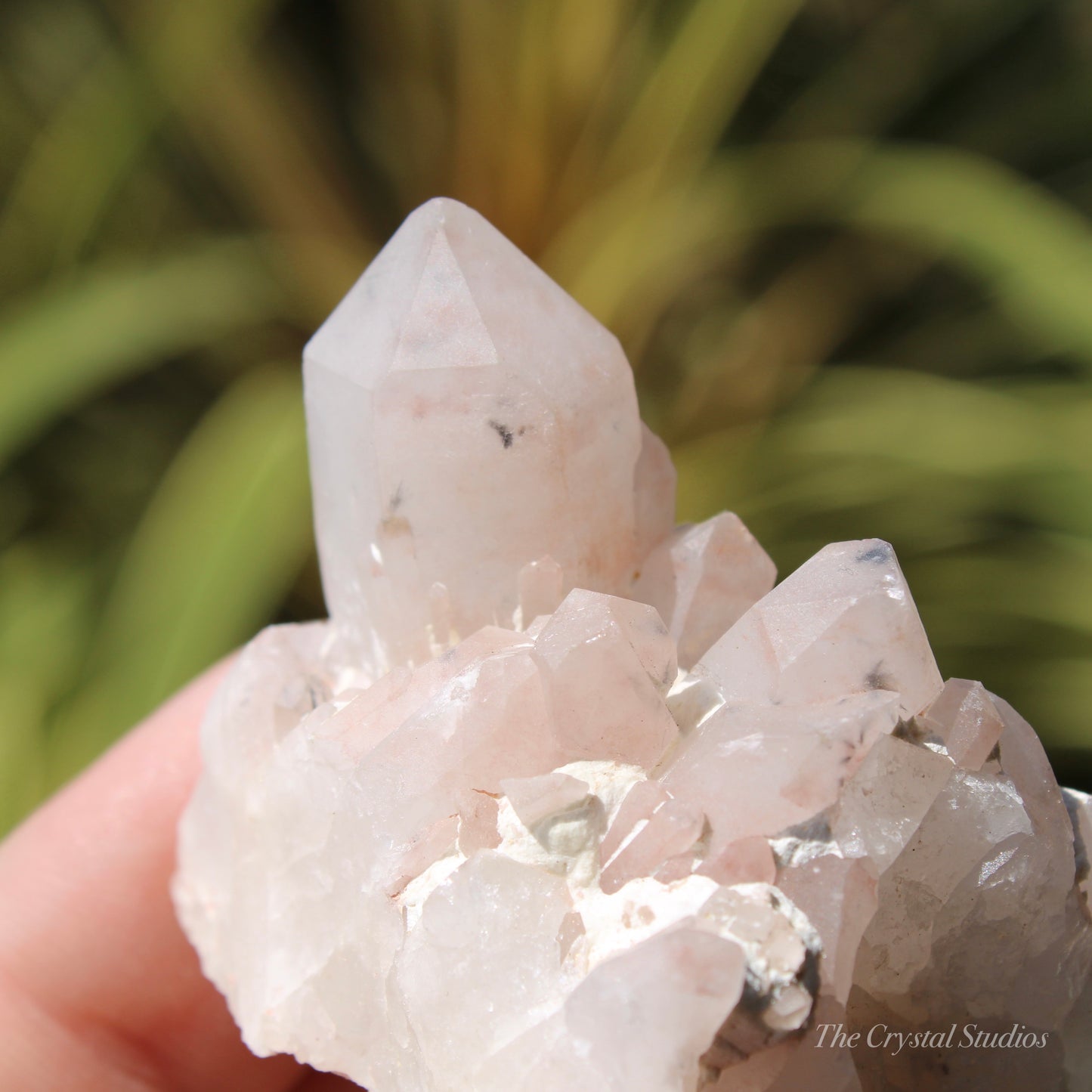 Holldanite Quartz Natural Cluster Crystal