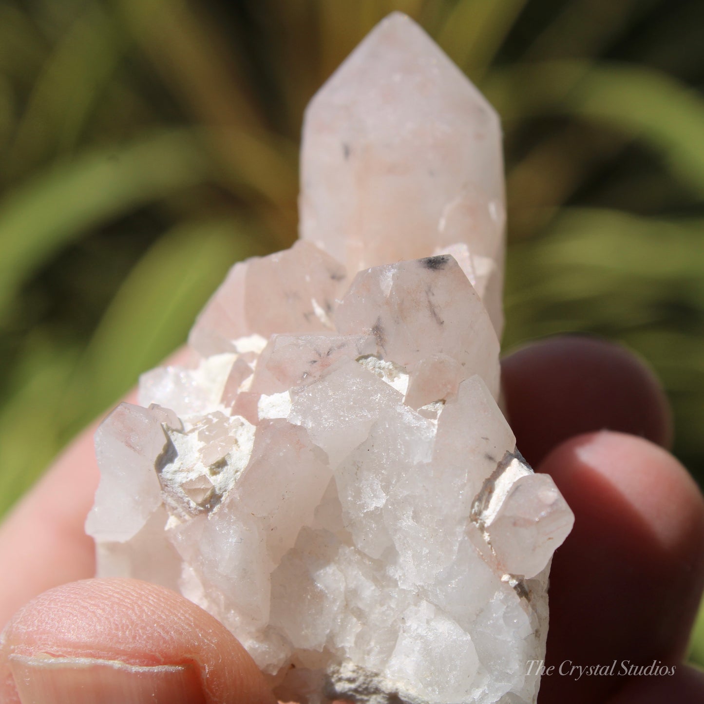 Holldanite Quartz Natural Cluster Crystal