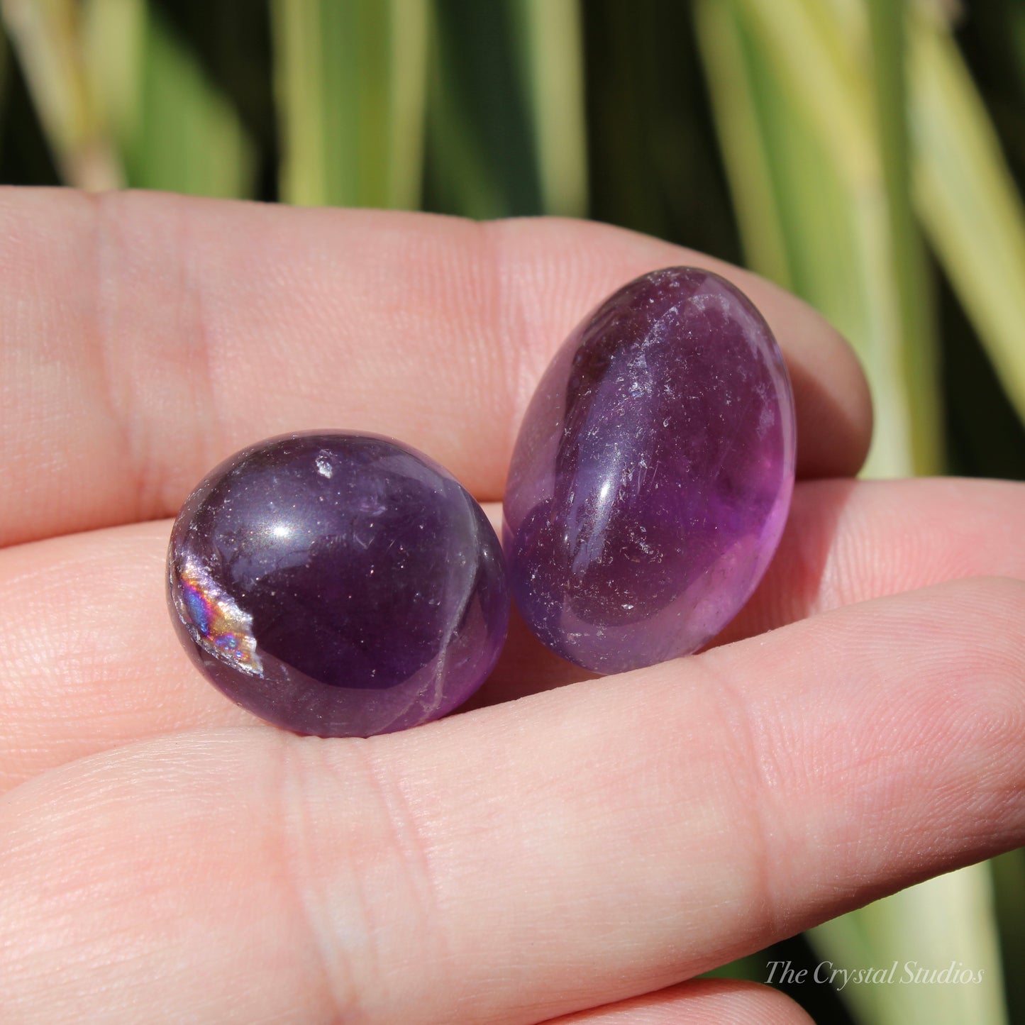 Deep Colour Amethyst Polished Crystal Tumblestone Set