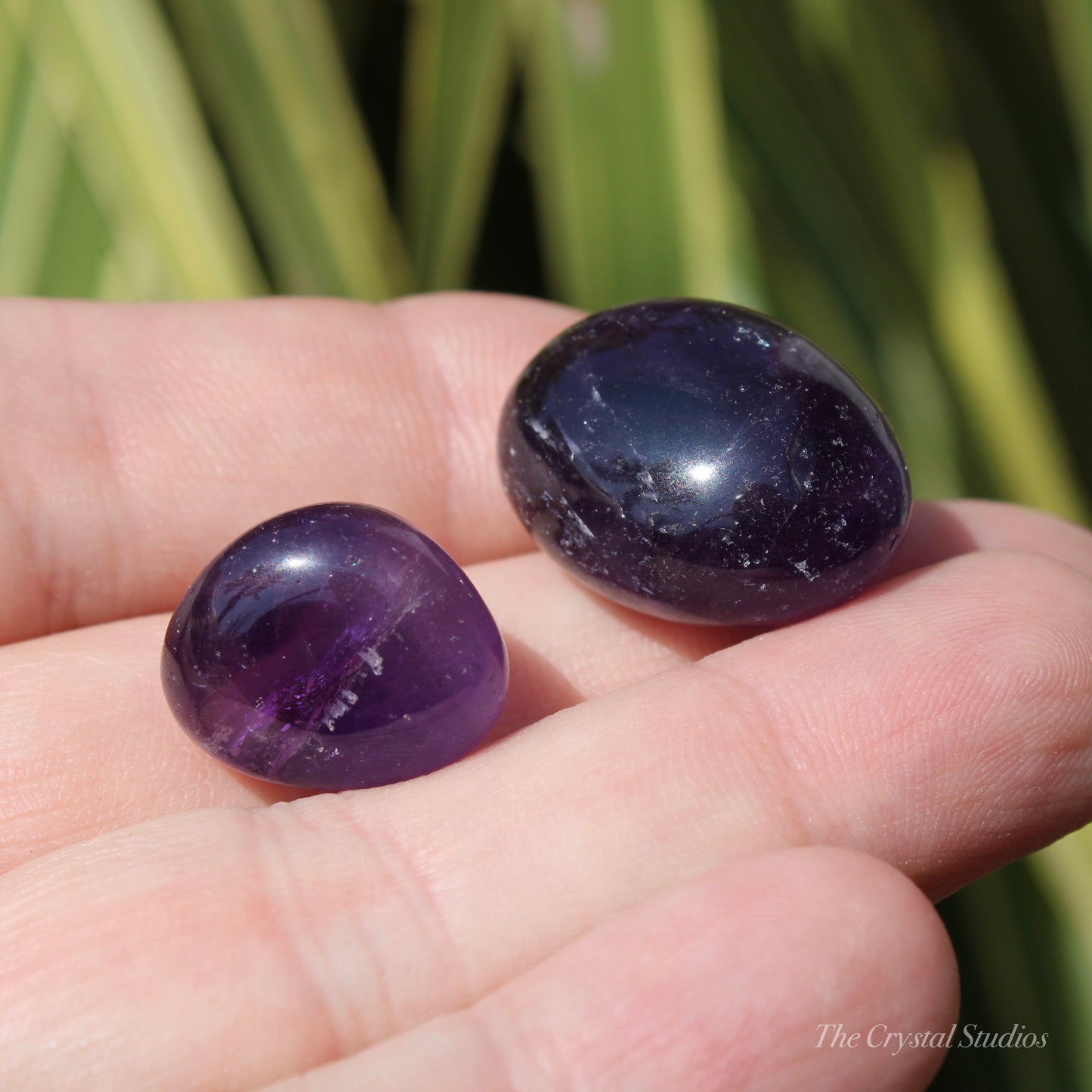 Deep Colour Amethyst Polished Crystal Tumblestone Set