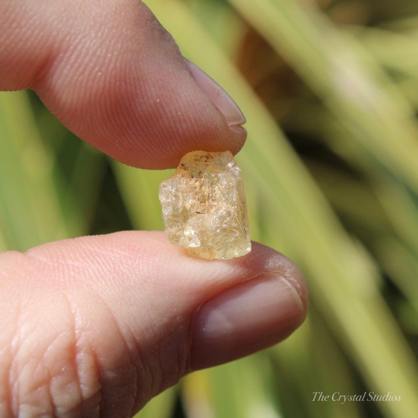 Golden Yellow Scapolite Natural Crystal