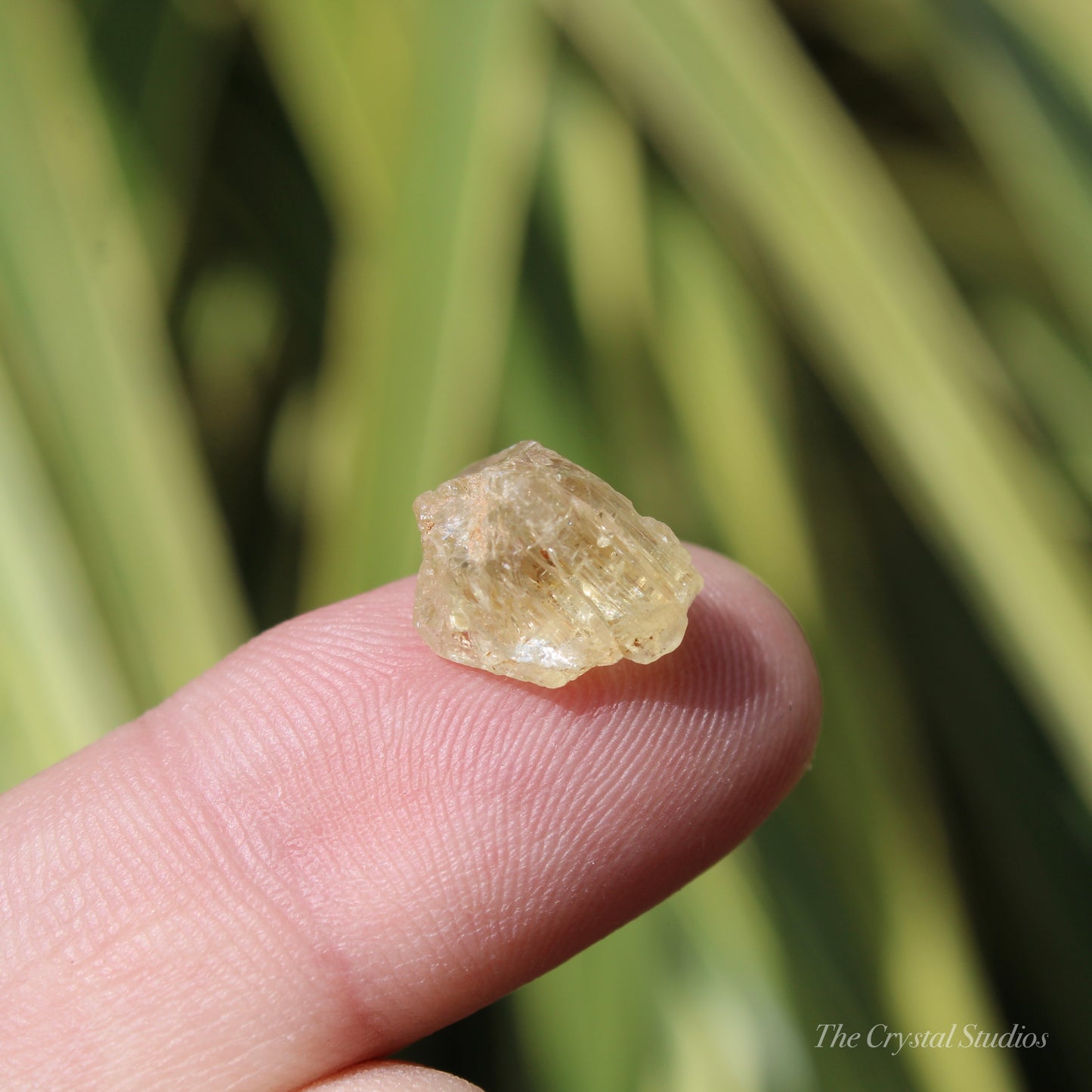 Golden Yellow Scapolite Natural Crystal