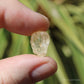 Golden Yellow Scapolite Natural Crystal