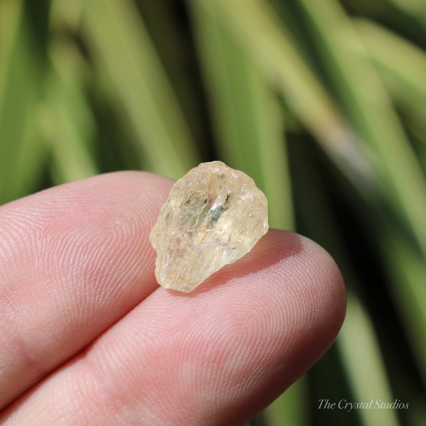 Golden Yellow Scapolite Natural Crystal