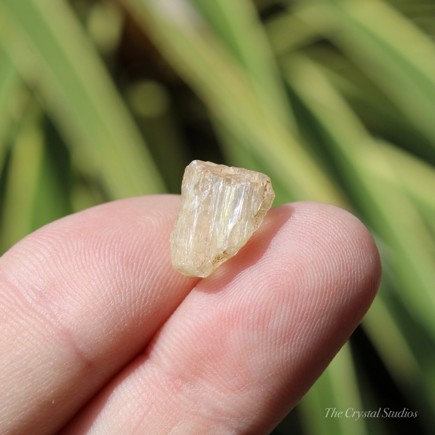 Golden Yellow Scapolite Natural Crystal