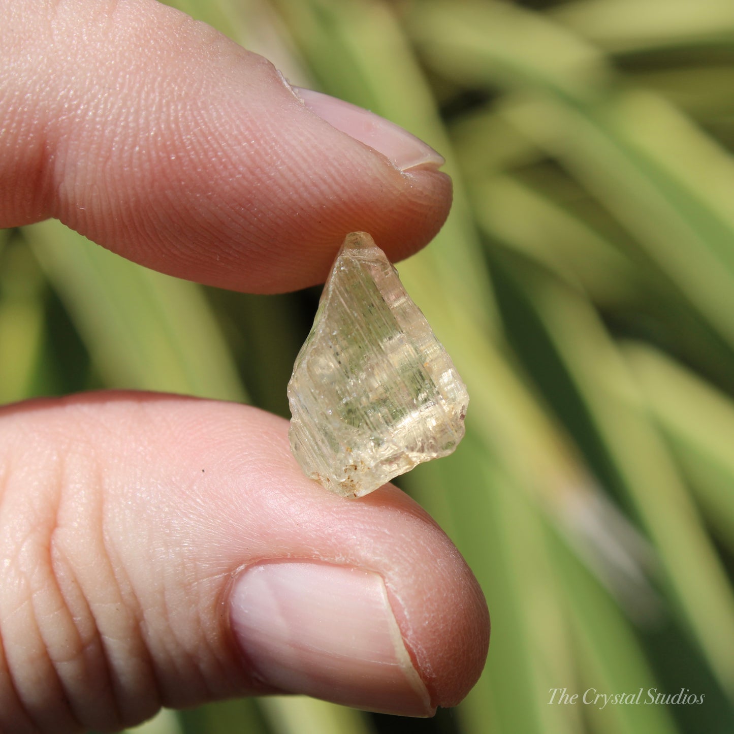 Golden Yellow Scapolite Natural Crystal