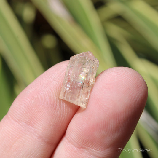 Golden Yellow Scapolite Natural Crystal