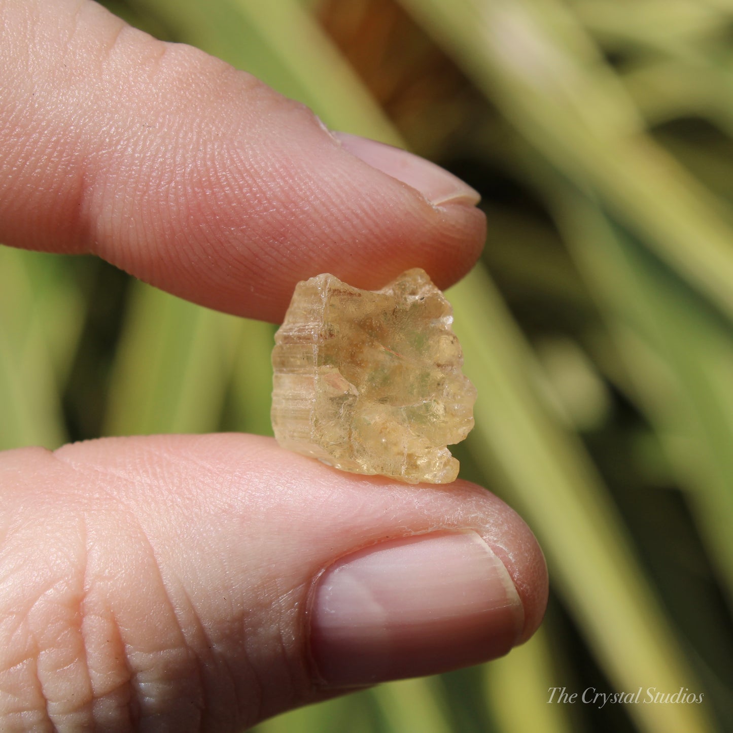 Golden Yellow Scapolite Natural Crystal