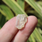 Golden Yellow Scapolite Natural Crystal